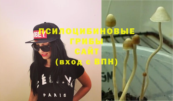 MDMA Premium VHQ Абаза