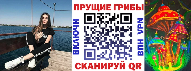 цена   Шарья  Псилоцибиновые грибы GOLDEN TEACHER 